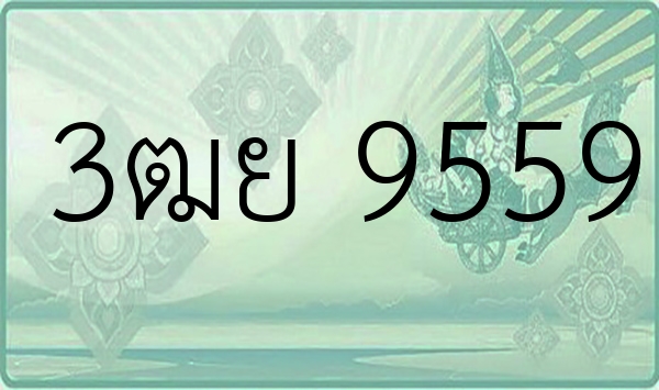 3ฒย 9559